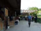 Ferme equestre La Belle Errance