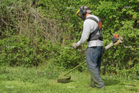 debroussaillement de Cernex